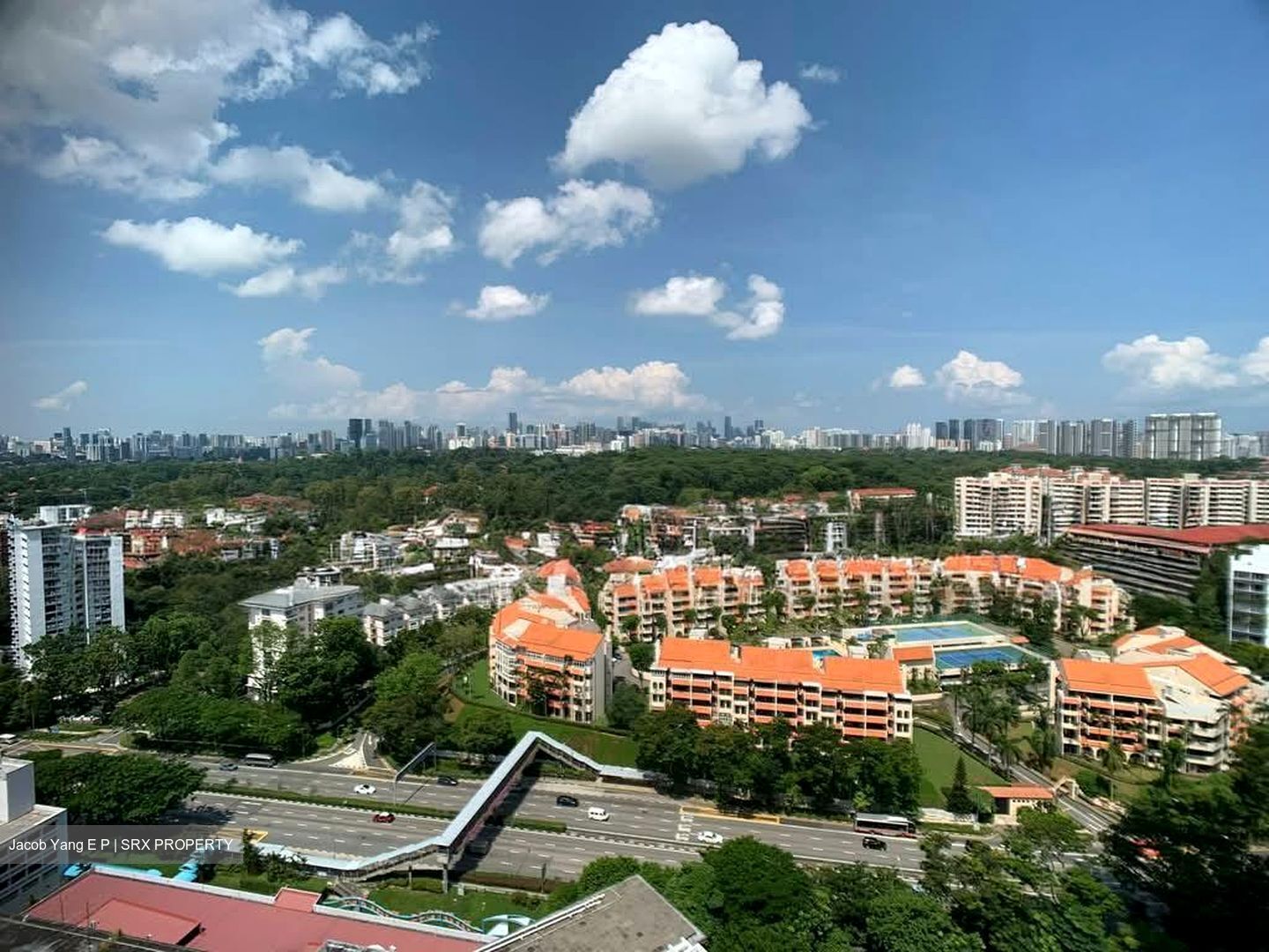 D'Leedon (D10), Condominium #577411711